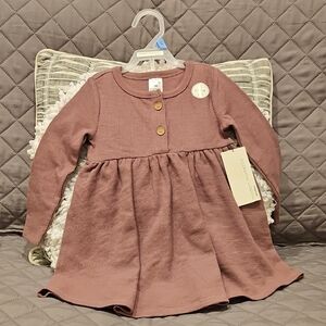Gerber Modern Moments Kids Mauve Dress with Button Detail